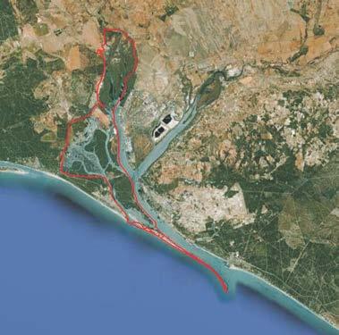 Marismas de Odiel Andalucía Nº Ramsar 6 ( BOE nº 110 (8/5/90) Coordenadas 37º 14 38 N / 6º 58 12 W Municipio Provincia Huelva, Gibraleón, Aljaraque y Punta Umbría Huelva Superficie espacio Ramsar: