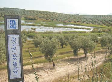Representa una zona de paso para la avifauna entre los importantes complejos palustres de Doñana y los humedales manchegos.