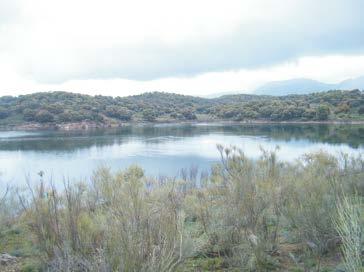 Chica) Descripción general La Reserva Natural Lagunas de Archidona es un complejo formado por dos lagunas: la Laguna Grande y la Laguna Chica, separadas entre sí alrededor de 1 Km.
