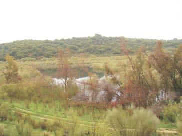 La Laguna Chica presenta un régimen hidrológico semipermanente, mayoritariamente hipogénico, aunque con mayores fluctuaciones (puede llegar a secarse en verano).