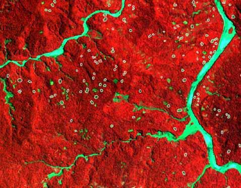Cultivo de coca reemplazando bosque primario Imagen satelital tomada en 2003 (IKONOS, color verdadero) no se observa cultivo de coca en esta área.
