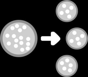 DERIVA GENICA La deriva genética se refiere a las fluctuaciones en las frecuencias alélicas que ocurren como resultado del muestreo al azar de los gametos.