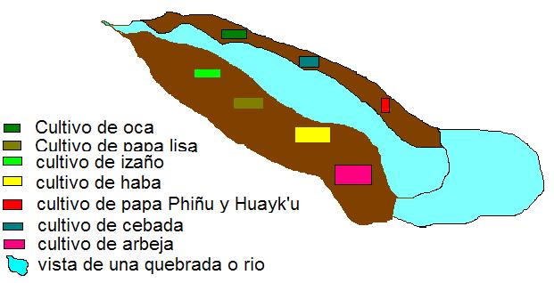 REPRESENTACION GRAFICA DE UNA QUEBRADA O RIO Como se podrá observar los cultivos son más diversificados en las cercanías de las quebradas o ríos Rotación de cultivos en un manta La rotación de