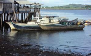 Capítulo II: Análisis crítico de desempeño de eslabones de la actividad de pesca y la acuicultura Dado el intenso aprovechamiento de los recursos camaroneros de aguas someras, éstos se encuentran en