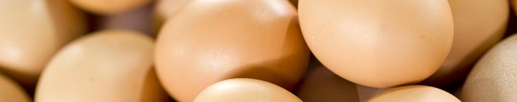 Valor nutricional El huevo es un alimento que aporta pocas calorías 75 kcal por unidad, pero juega un rol importante en la dieta debido a su composición de nutrientes, tales como proteínas de alto