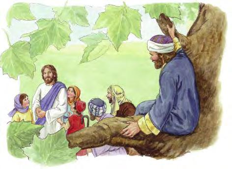 26 Caminando, caminando. (El[la] niño[a] se pone de pie sobre una silla.) Jesús está caminando junto a Zaqueo. Zaqueo ve a Jesús que va pasando.