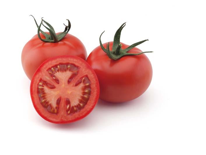 Producción de Semilla Un equipo de especialistas en producción de semillas de tomate atiende la búsqueda constante de nuevas vías para lograr una óptima fiabilidad, calidad de semilla y suministro