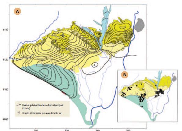 Margas azules del Mioceno superior. Son margas ricas en fósiles, de facies marinas. Afloran desde Chucena hasta las proximidades de Moguer. Se han llegado a medir potencias de hasta 1200 m.