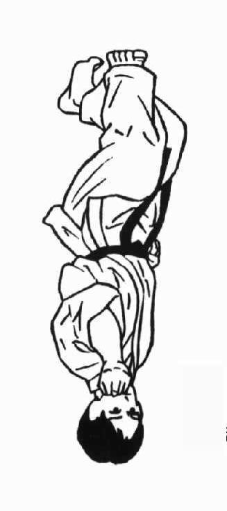 Zen kutsu dachi ZENKUTSU DACHI: Posición adelantada, entre un 60 y un 70% del peso del cuerpo descansa sobre la pierna adelantada.