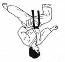 Gedan barai PARADAS (Uke) GEDAN BARAI : Parada baja. El puño describe una línea recta en sentido descendente, y diagonal desde el hombro contrario al centro del cuerpo.