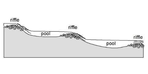 y pozas (Riffle-pool)