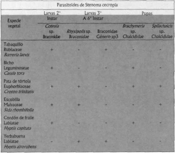 A. ALDANA et al. Tabla 4. Parasitoides de Stenoma cecropia y las plantas arvenses donde fueron encontrados. Palmas Promisión, San Martín (Cesar). 1996. EVALUACION DEL PARASITISMO DE S.