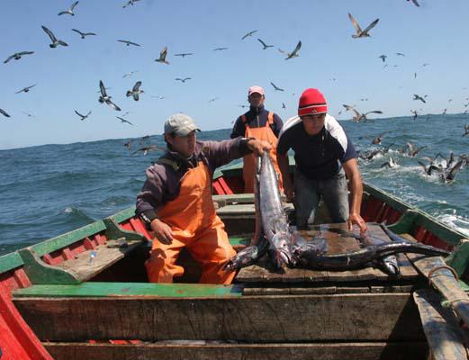 3 Cuál es la situación de la oferta pesquera artesanal en Lima?