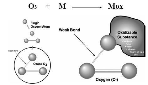 En los compuestos orgánicos el ozono puede reaccionar de dos formas Directa: Ozono molecular reacciona con el compuesto en cuestión.