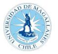 Departamento de Ingeniería Eléctrica Universidad de Magallanes.