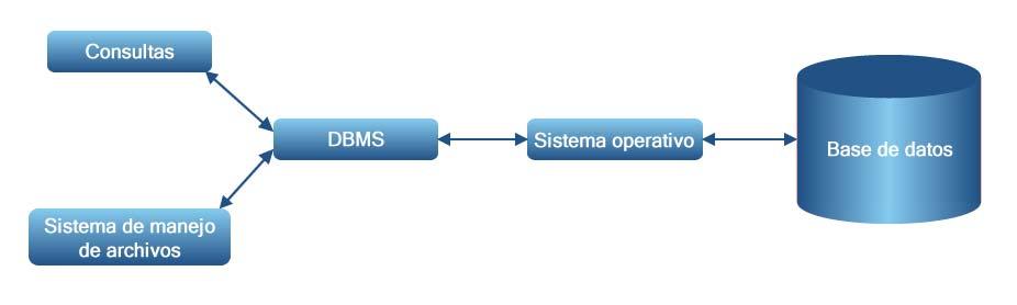 Las funciones principales de un DBMS son: a) Crear y organizar la base de datos.
