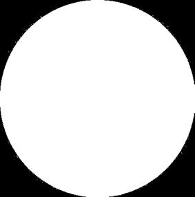 verde circunscrito en un figura circular imaginaria de 4.5 cm; de-trás círculo blanco de 6 cm y sobre éste los colores del Ejército.