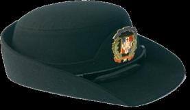 El kepis para los Cadetes será el mismo que el de las Oficiales Subalternos color verde, pero llevará el escudo de la Academia Militar Batalla de Las Carreras en lugar del Escudo Nacional.