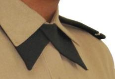 Capítulo V / Vestimentas y Accesorios Ejército de República Dominicana b) Camisa mangas cortas: Se confeccionarán igual a las mangas largas con excepción de que el cuello será abierto y las mangas