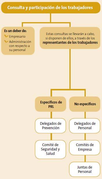 3.14. COMPETENCIAS Y FACULTADES DE LOS DELEGADOS DE PREVENCIÓN Son los representantes de los trabajadores con funciones específicas en materia de prevención de riesgos en el trabajo.