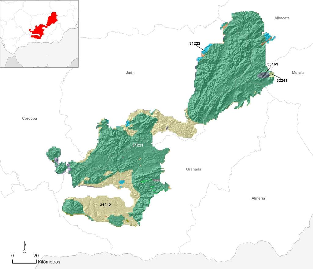 MED35 Bética centro-occidental Superficie de la región natural: 10.167,70 1,99 del territorio nacional AMBIENTES TERRESTRES * 31221 7.838,47 km2 77,09 31212 1.