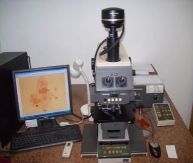 Microscopio Olympus (modelo New Vanox AH-3) con epifluorescencia y Cámara Digital Olympus DP71.