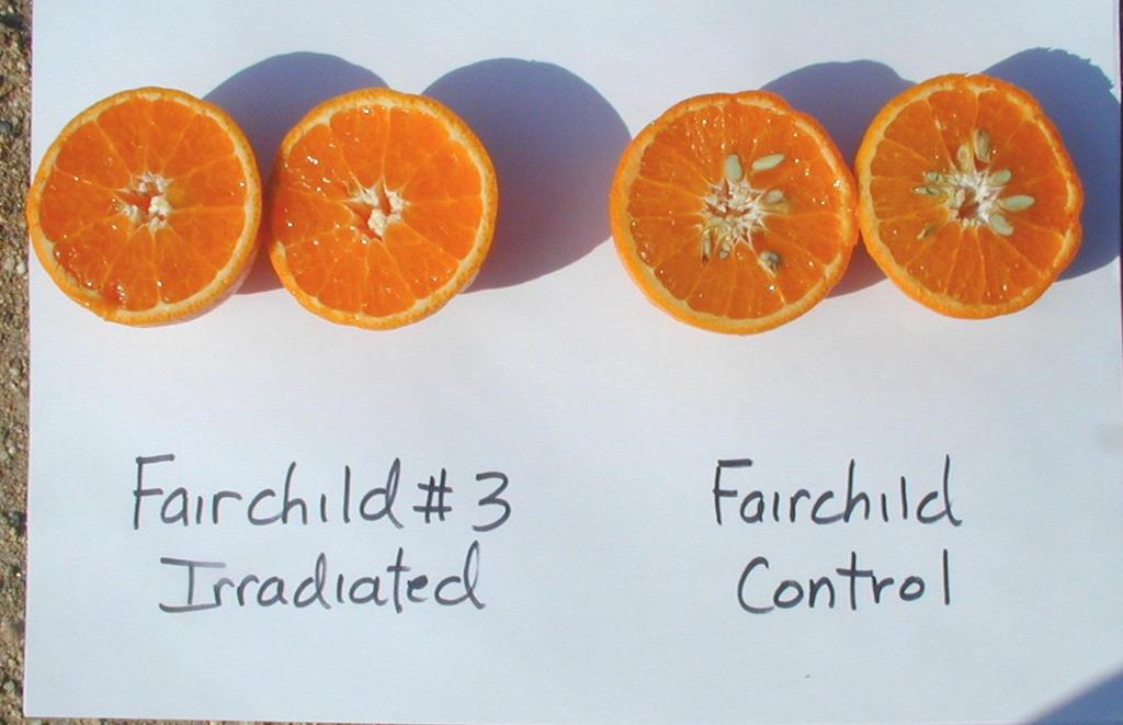 FairchildLS Selección