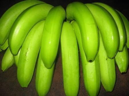 Banano Gros Michel en estado maduro Cavendish: caracterizado por presentar especialmente los retoños jóvenes, las vainas