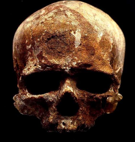 Homo heidelbergensis 200.000-900.