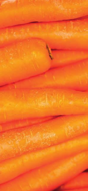 (zanahorias) Precalentamiento y tratamiento enzimático Puré 1 a Pasadora 2 a