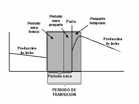 I. Presentación El Periodo de Transición en la Vaca Lechera Gilberto Fernández Idrogo (gifer523@hotmail.