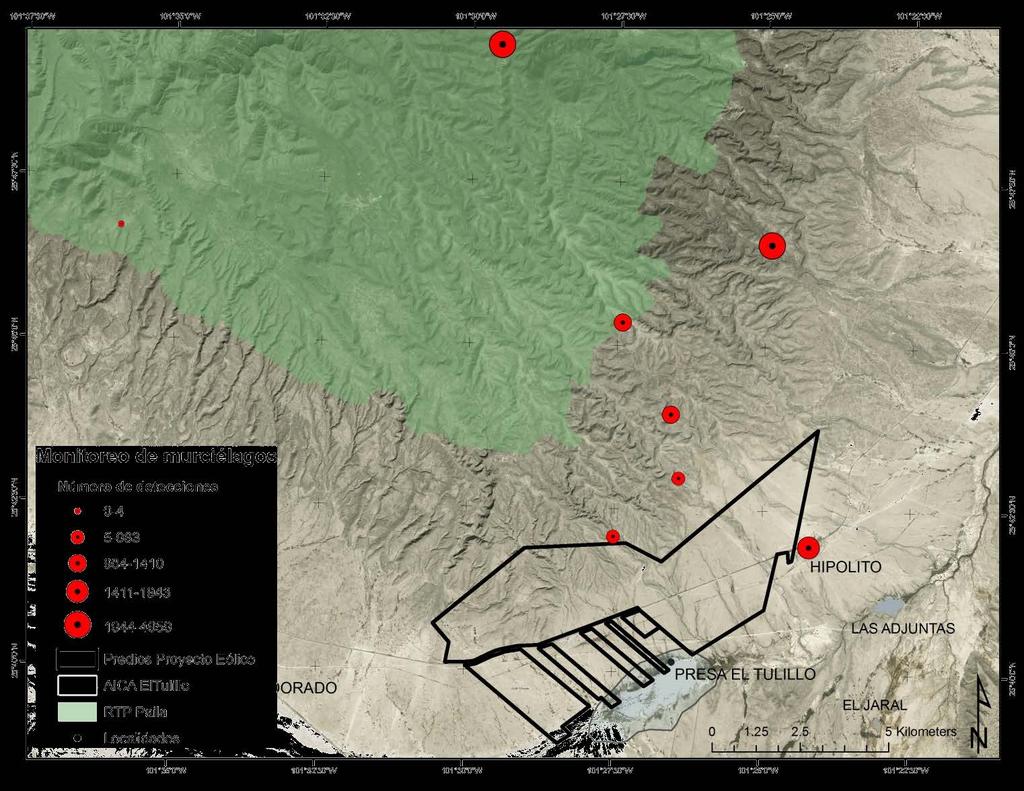 50 Distribución espacial Se localizaron un mayor número de cuevas y áreas de actividad de murciélagos importantes hacia el este de la Sierra La Paila, con