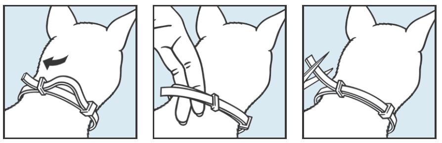 collar y el cuello). Pase el extremo del collar a través de las hebillas. Corte el exceso de collar dejando 2 cm tras la hebilla.