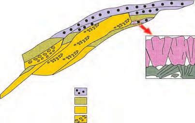 5.4.5. Abanicos deltaicos de Monachil (267) En el sector de Monachil se conserva uno de los mejores registros estratigráficos que demuestran la conexión de la cuenca de Granada con la mar