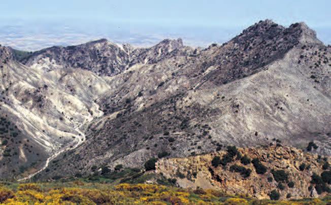 Aflora rodeando el núcleo de Sierra Nevada, constituyendo la mayoría de los relieves de la media y baja montaña.