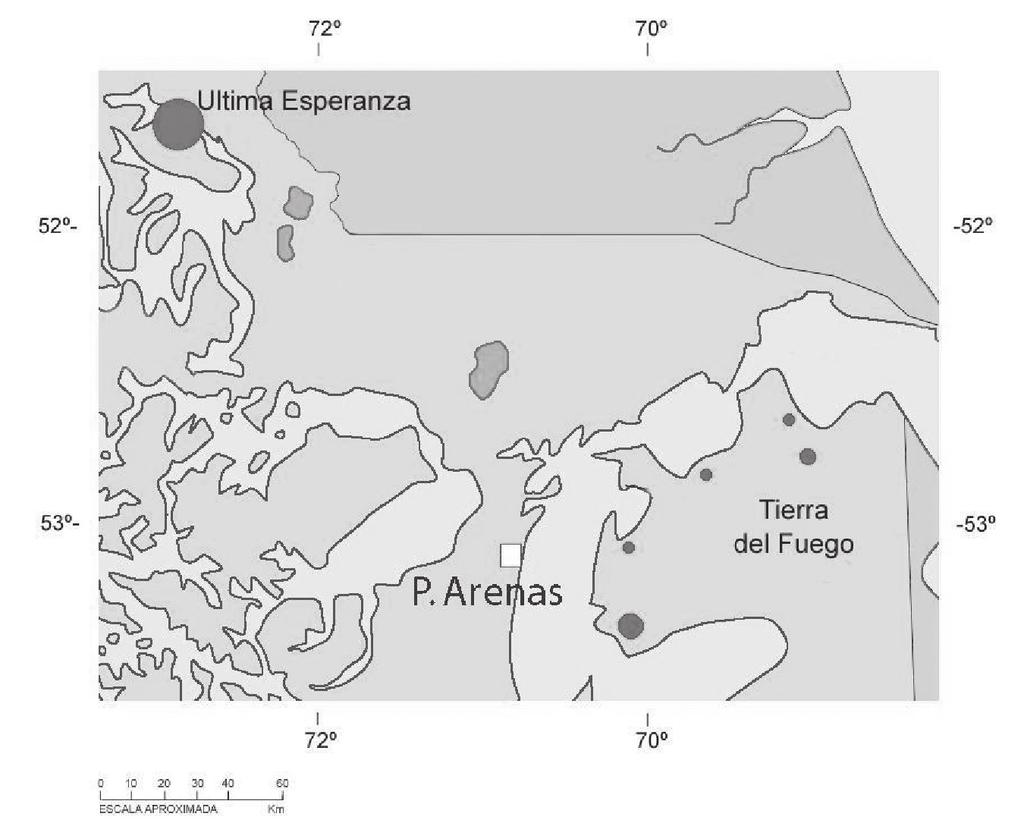 56 J. GIBBONS et al. Fig. 2. Ubicación de avistamientos de cisnes cuello negro en noviembre y diciembre de 2004.