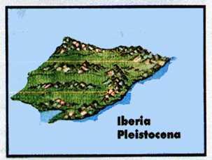 Evolución geológica de la Península Ibérica Era Cuaternaria (2 m.aactualidad) Retoques erosivos y escasa sedimentación.