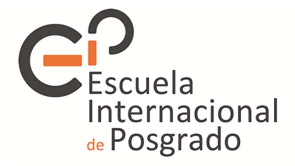 ITINERARIOS CURRICULARES CONCRETOS (ICCs) La legislación española contempla que las universidades puedan ofertar determinados Itinerarios Curriculares Concretos -ICC- (curso puente o de adaptación)