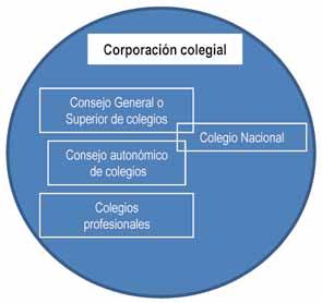 La estructura de las corporaciones colegiales... Cuando hablamos de organización colegial nos referimos al conjunto de corporaciones colegiales de una profesión.