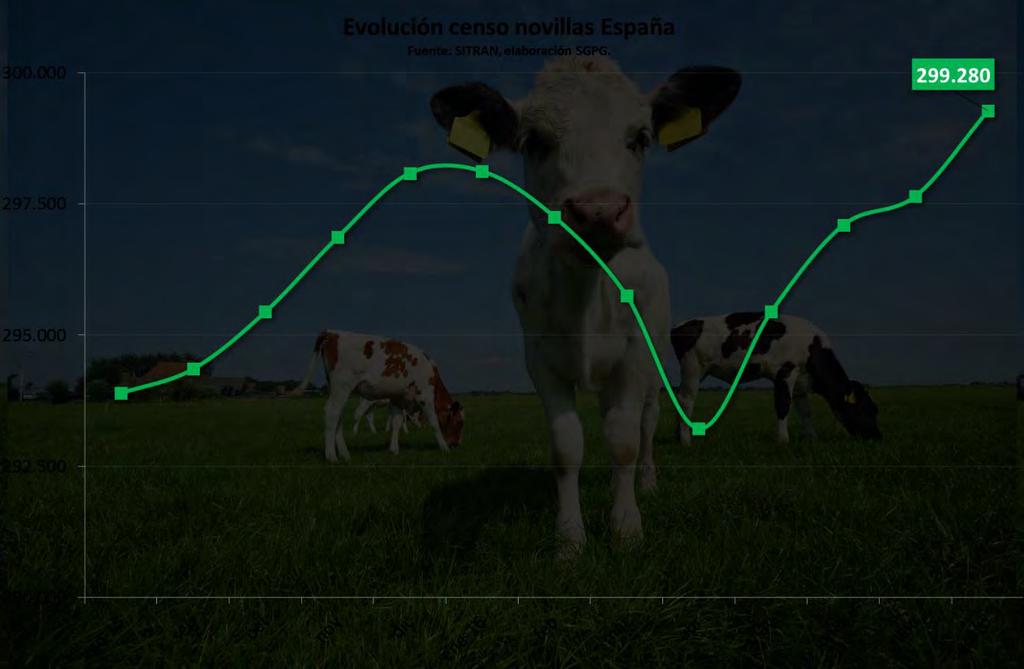 La CA con mayor censo de vacas lecheras mayores de 24 meses, como