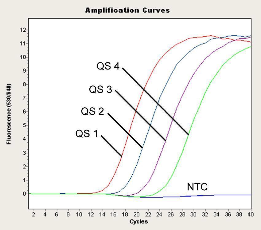 Fig. 12: Detección de los Estándares de cuantificación (VZV LC/TM QS 1-4) en el canal de fluorescencia 530/640 del