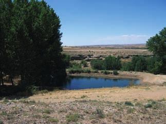 Ficha 57 Comunidad de Teruel BALSA DE LA CAÑADA Perales del Alfambra