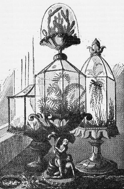 GÓMEZ P. - Orquídeas centroamericanas en Inglaterra del siglo XIX 483 De los establecimientos comerciales de mayor impacto escogí la casa de James Veitch en Chelsea y la de B.S. & H.
