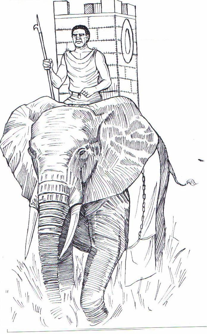 Norte de África. Elefantes de guerra Los elefantes cartagineses llevaban una torre.