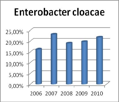 Resultados En el caso de la C. glabrata hay un descenso importante en 2007 frente a 2006 y un gran repunte en 2008 y 2009. Gráfico 17.