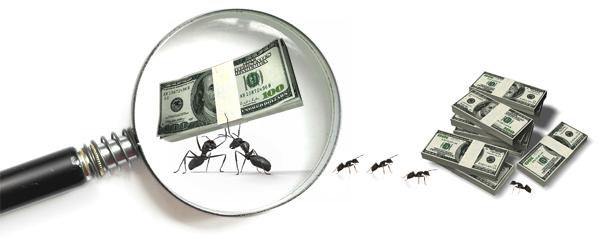 Los gastos hormiga son un problema en la importación de su