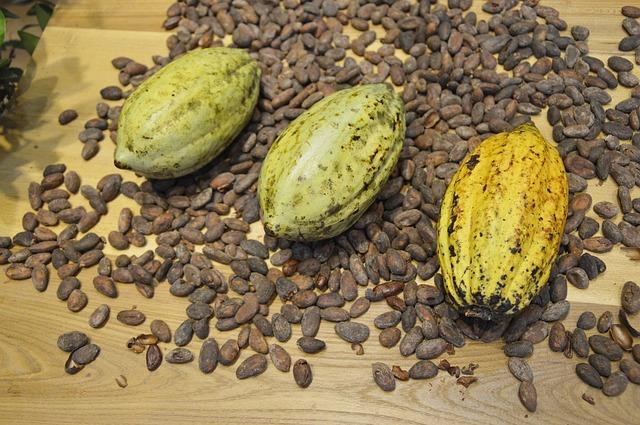 LA PRODUCCIÓN DE CACAO EN COLOMBIA 2014. Resumen: La producción de cacao en Colombia ha sido favorable y los recientes datos de 2014 se espera que se acerquen al nivel de los 50 mil toneladas.