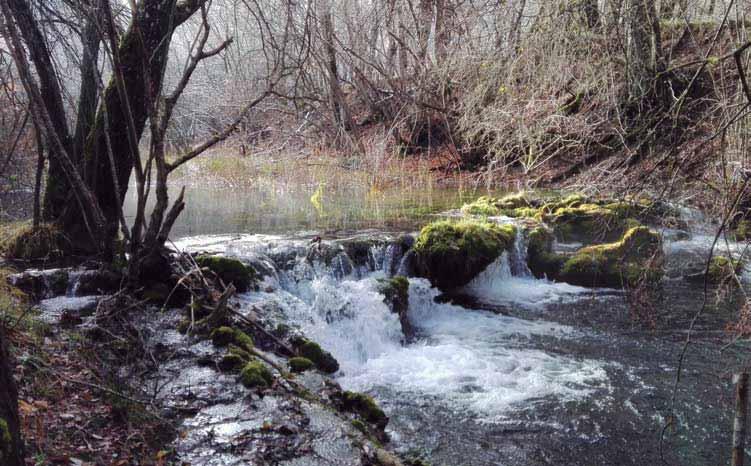 Reservas Naturales Fluviales en las demarcaciones hidrográficas intercomunitarias e intracomunitarias con representaciones en muy buen estado dentro del territorio español, o estas son muy escasas.