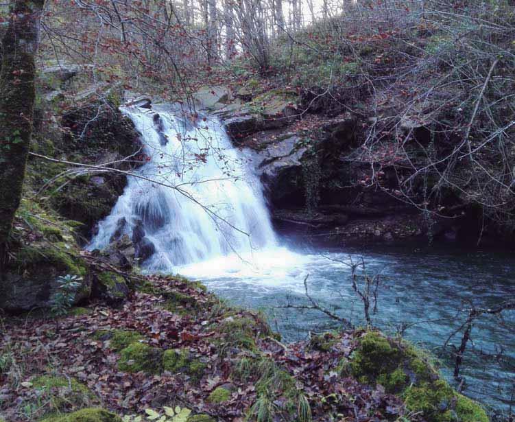 Reservas Naturales Fluviales en las demarcaciones hidrográficas intercomunitarias e intracomunitarias 82 reservas naturales fluviales en las demarcaciones hidrográficas intercomunitarias, cuyo estado