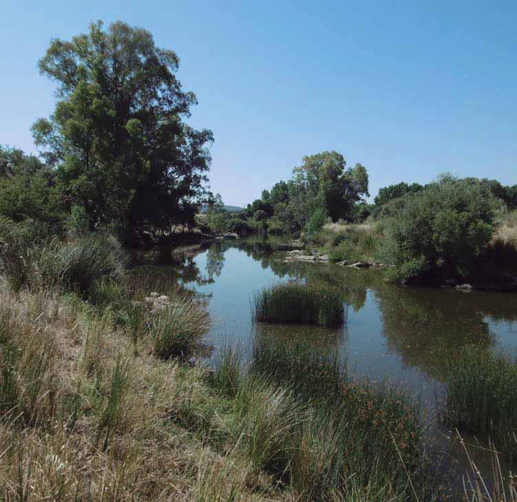 Ecologistas en Acción Acuerdo del Consejo de Ministros sobre la declaración de reservas naturales fluviales informado favorablemente en el Consejo Nacional del Agua de septiembre de 2015 El agua es